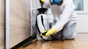 Best Residential Pest Control  in Salem, NJ